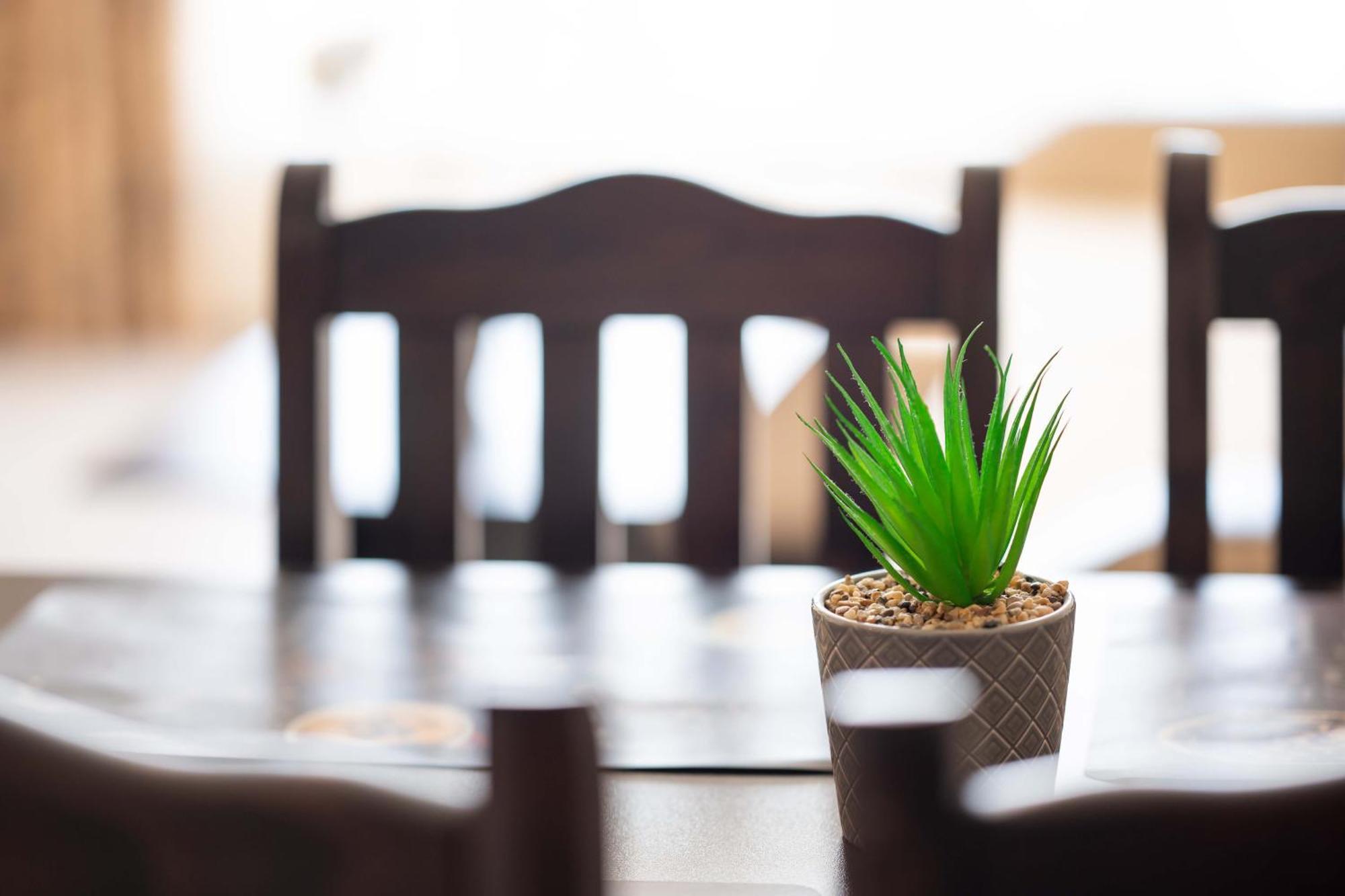 Sveti Vlas Apartments Luaran gambar